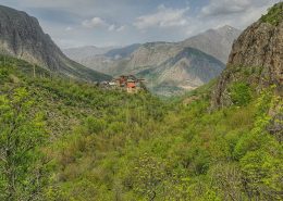 Flora Tour Of Turkey